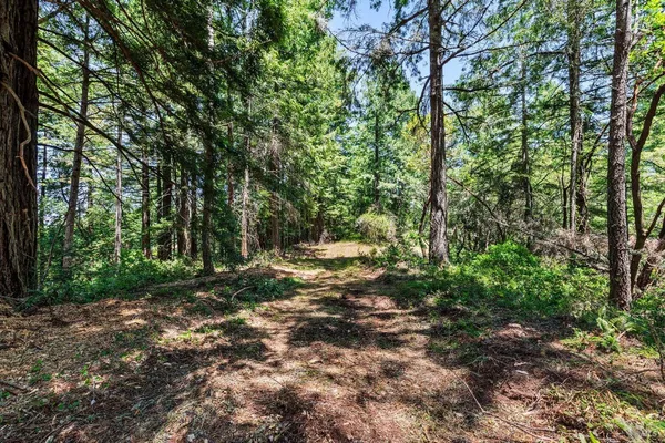 $4,200,000 | 1401 Nicasio Valley Road, Nicasio, CA 94946