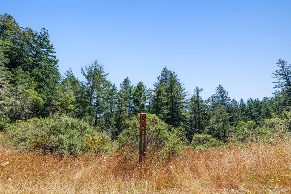 $4,200,000 | 1401 Nicasio Valley Road, Nicasio, CA 94946