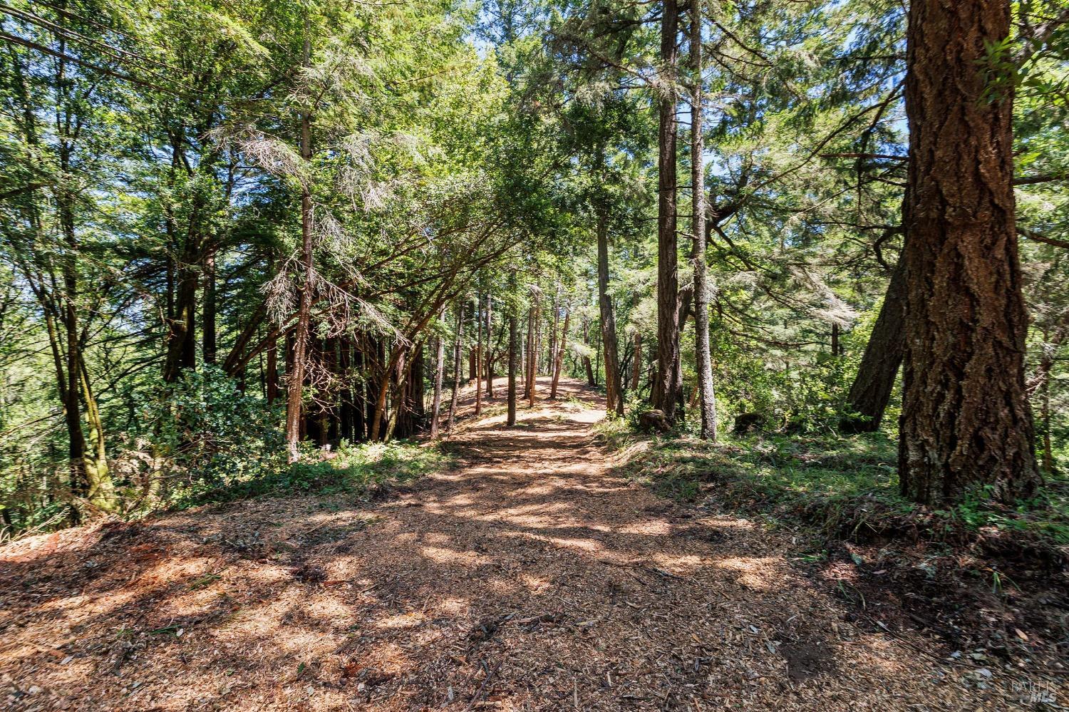 1401 Nicasio Valley Road Nicasio, CA 94946 - Photo 6 of 23