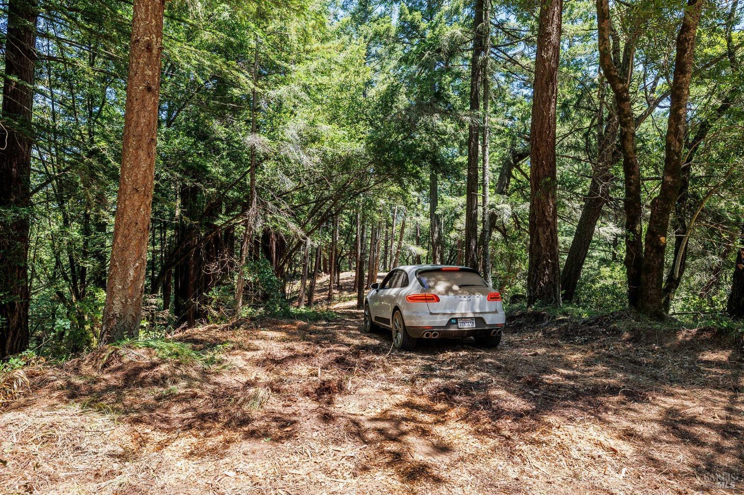 1401 Nicasio Valley Road Nicasio, CA 94946 - Photo 7 of 23