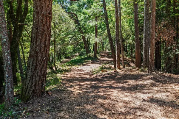 $4,200,000 | 1401 Nicasio Valley Road, Nicasio, CA 94946