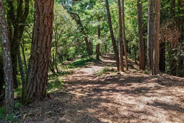 $4,200,000 | 1401 Nicasio Valley Road, Nicasio, CA 94946