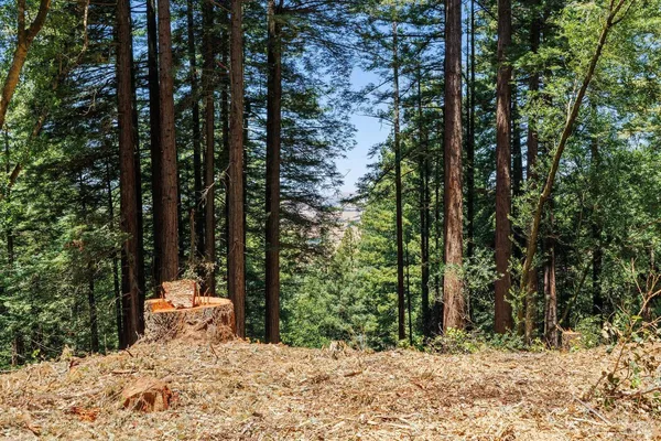 $4,200,000 | 1401 Nicasio Valley Road, Nicasio, CA 94946