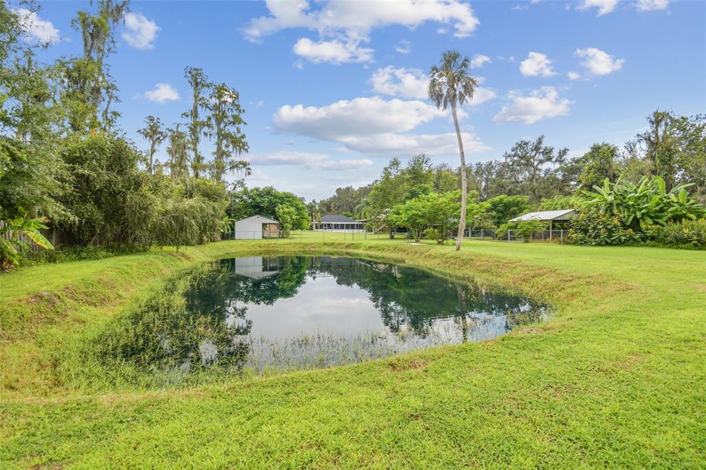 5504 Bruton Road Plant City, FL 33565 - Photo 67 of 96 Gallery Image 67