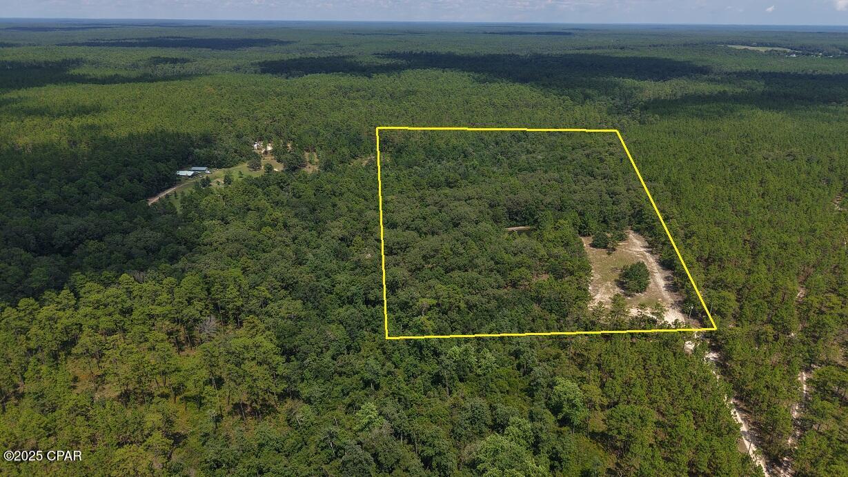 4264 Cleveland Road Baker, FL 32531 - Photo 3 of 36