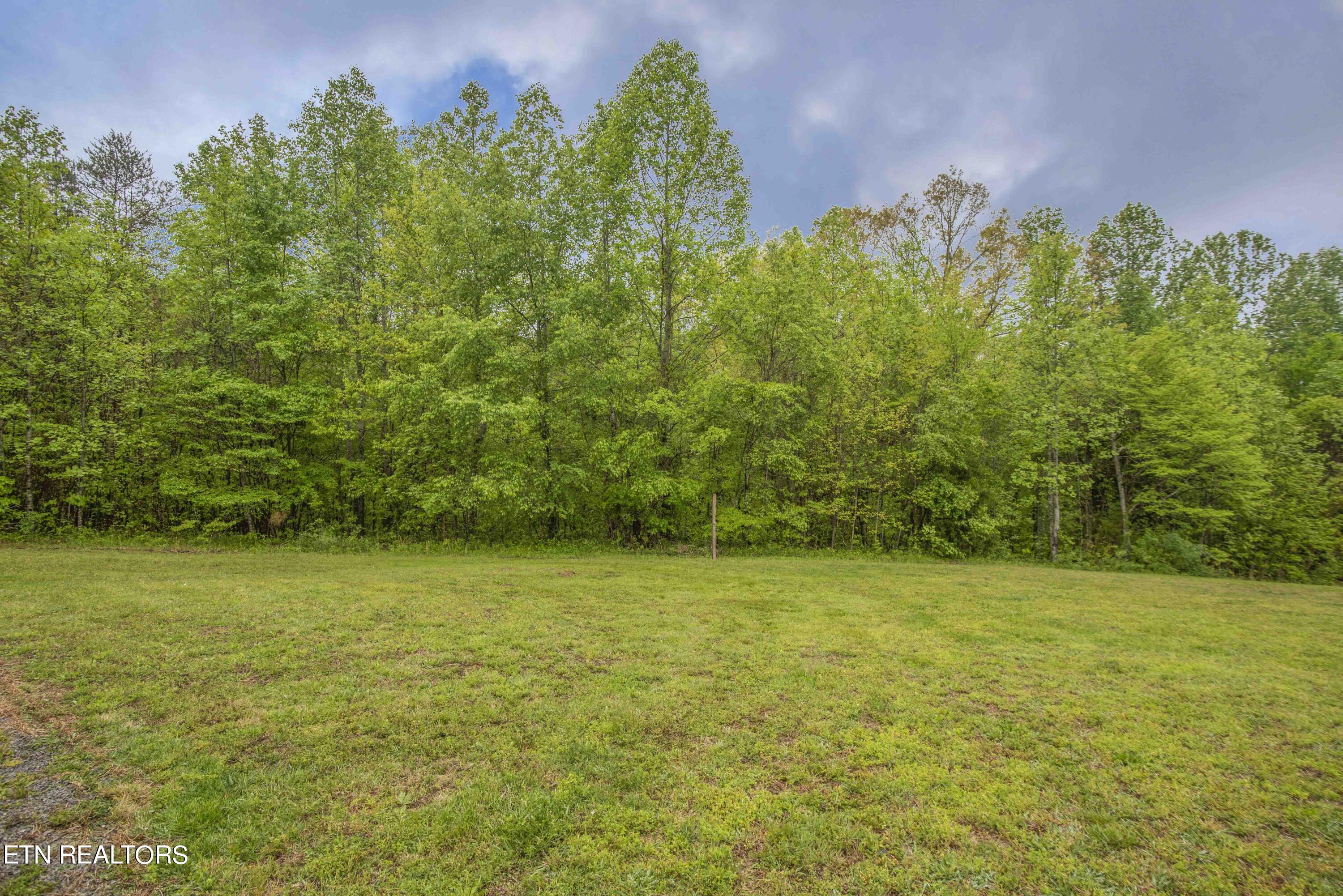 483 Pattie Gap Road Philadelphia, TN 37846 - Photo 36 of 40 yard 3_1