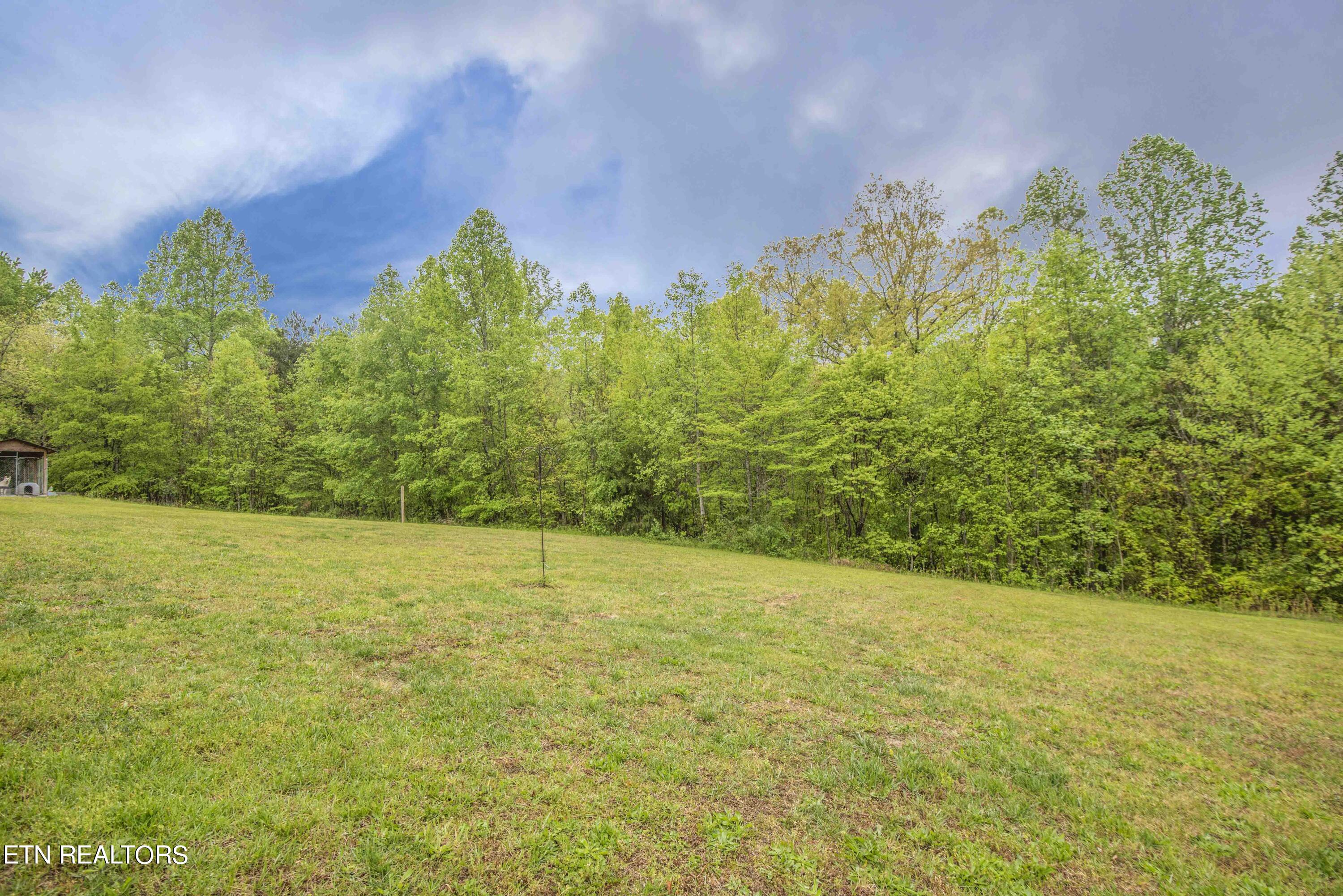 483 Pattie Gap Road Philadelphia, TN 37846 - Photo 39 of 40 yard 7_1