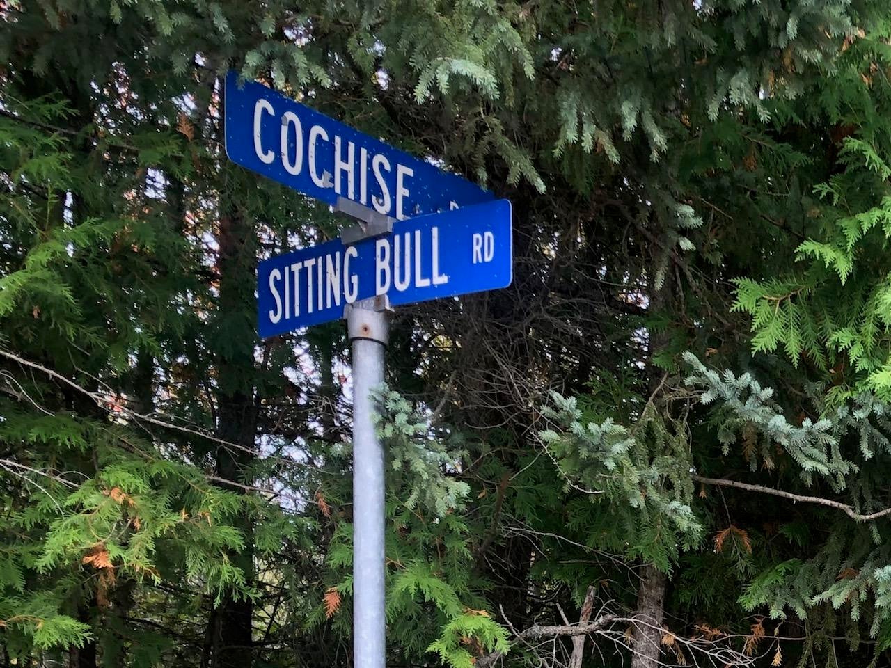Nhn Sitting Bull Road Alpena, MI 49707 - Photo 3 of 8 Gallery Image 3