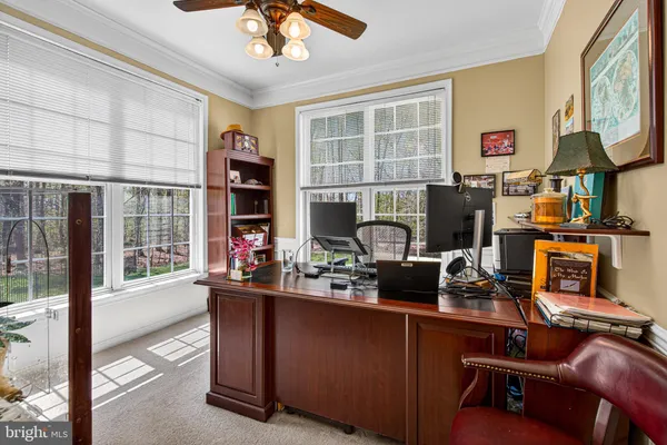 a work room with furniture and a potted plant