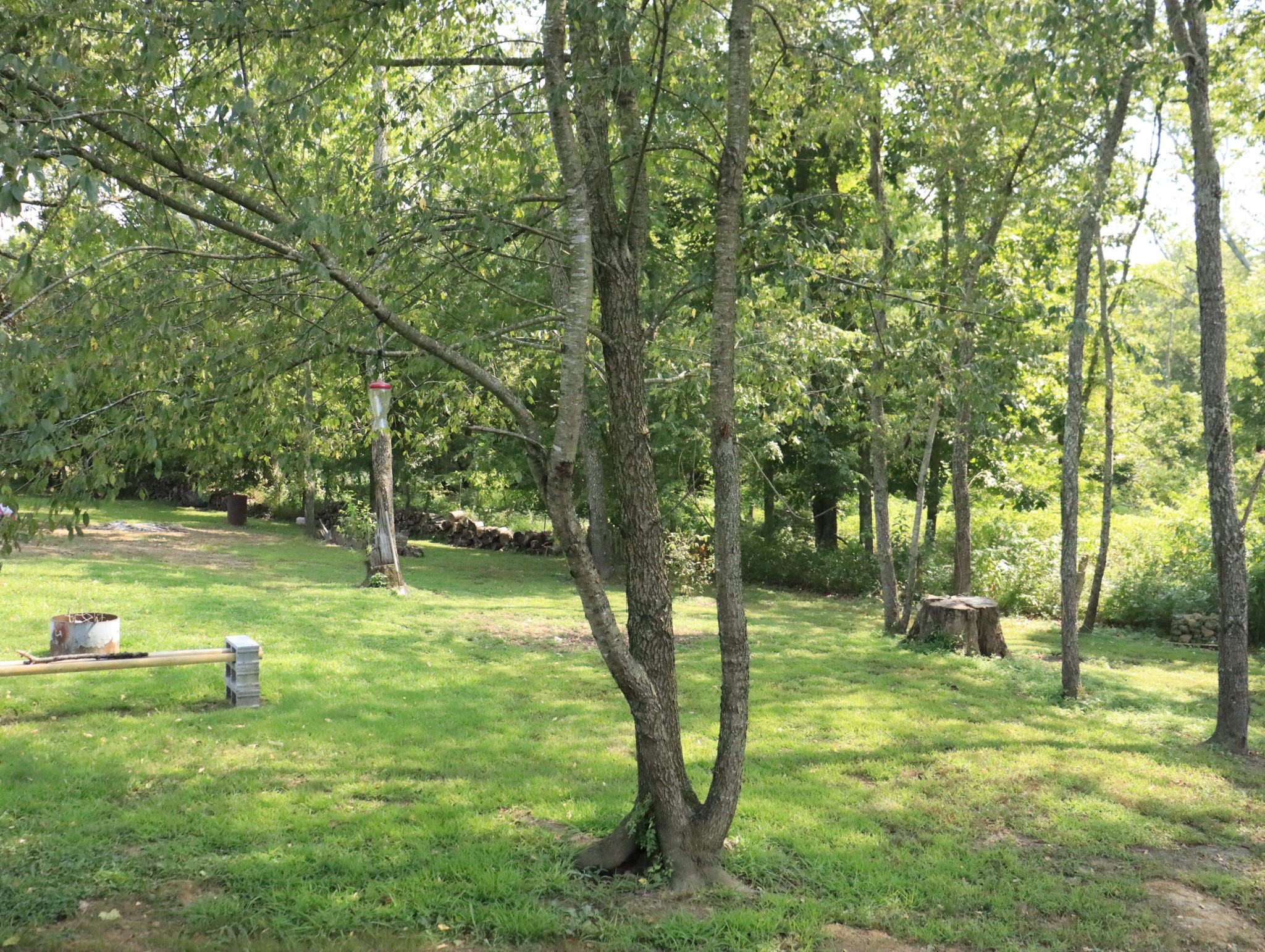 321 South Leath Road Portland, TN 37148 - Photo 33 of 33 a backyard of a house with lots of green space