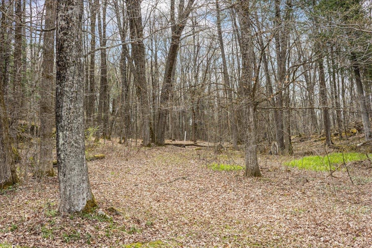 0 Bullock Road, Unit LOT #1 Milton, VT 05468 - Photo 32 of 49 Gallery Image 32