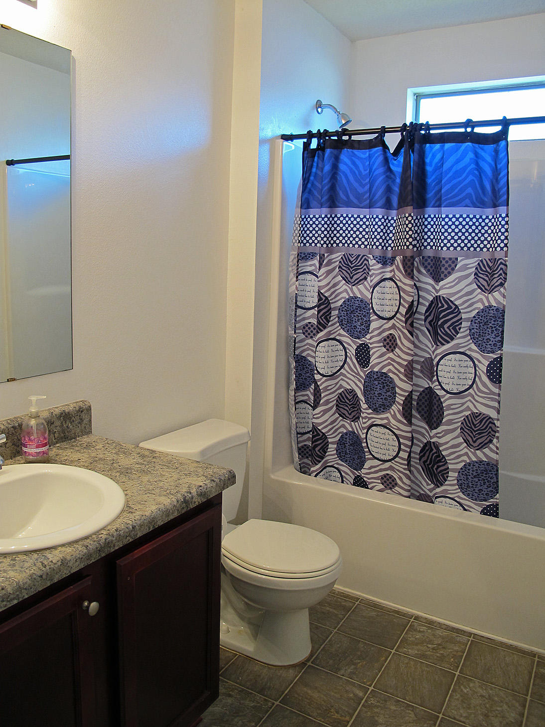 7980 Promise Creek Road Navarre, FL 32566 - Photo 24 of 31 a bathroom with a granite countertop sink and a mirror