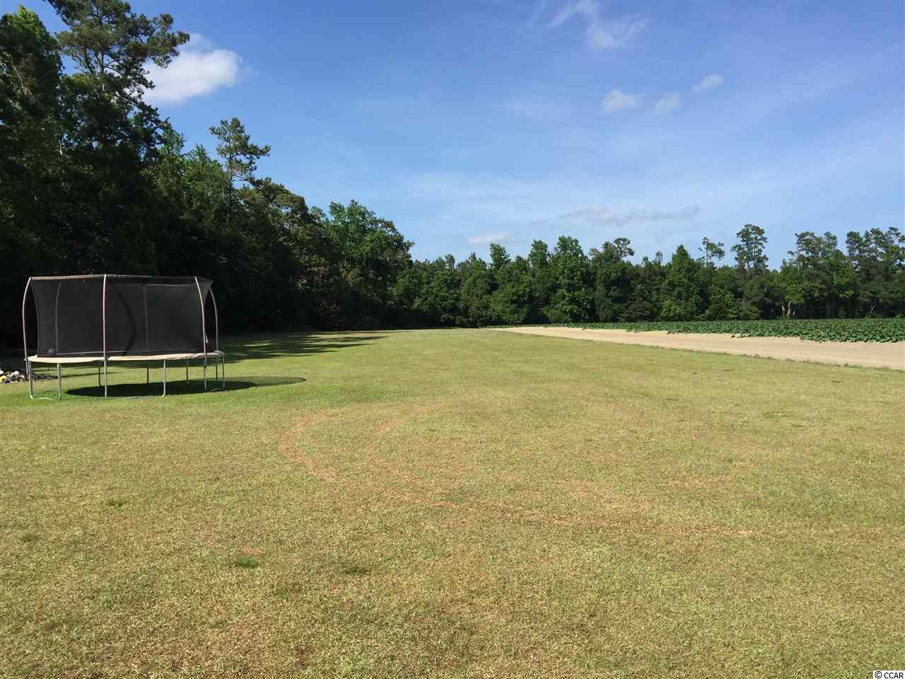 2929 Methodist Rehobeth Road Galivants Ferry, SC 29544 - Photo 2 of 24 Gallery Image 2