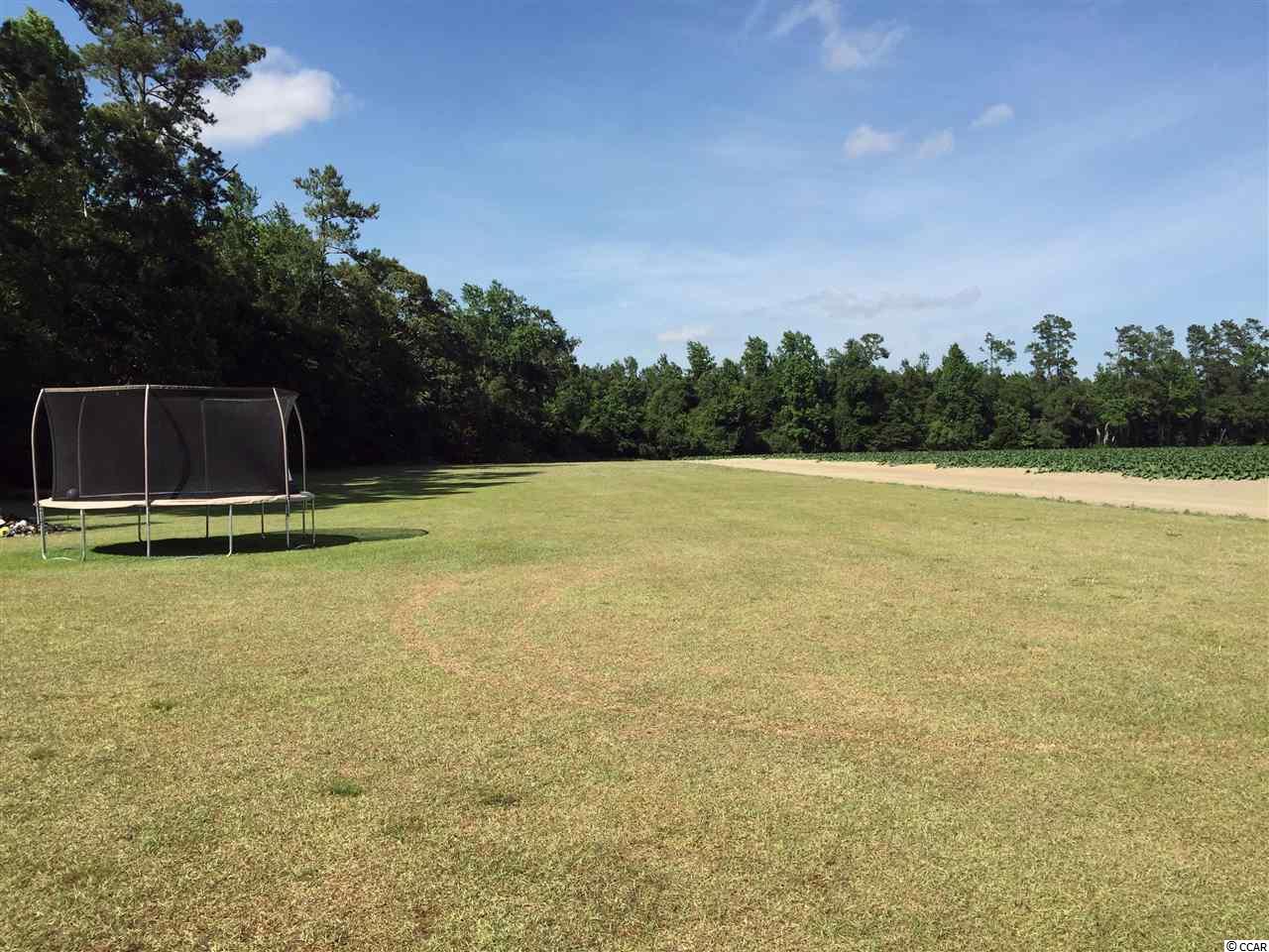 2929 Methodist Rehobeth Road Galivants Ferry, SC 29544 - Photo 16 of 24 Gallery Image 16