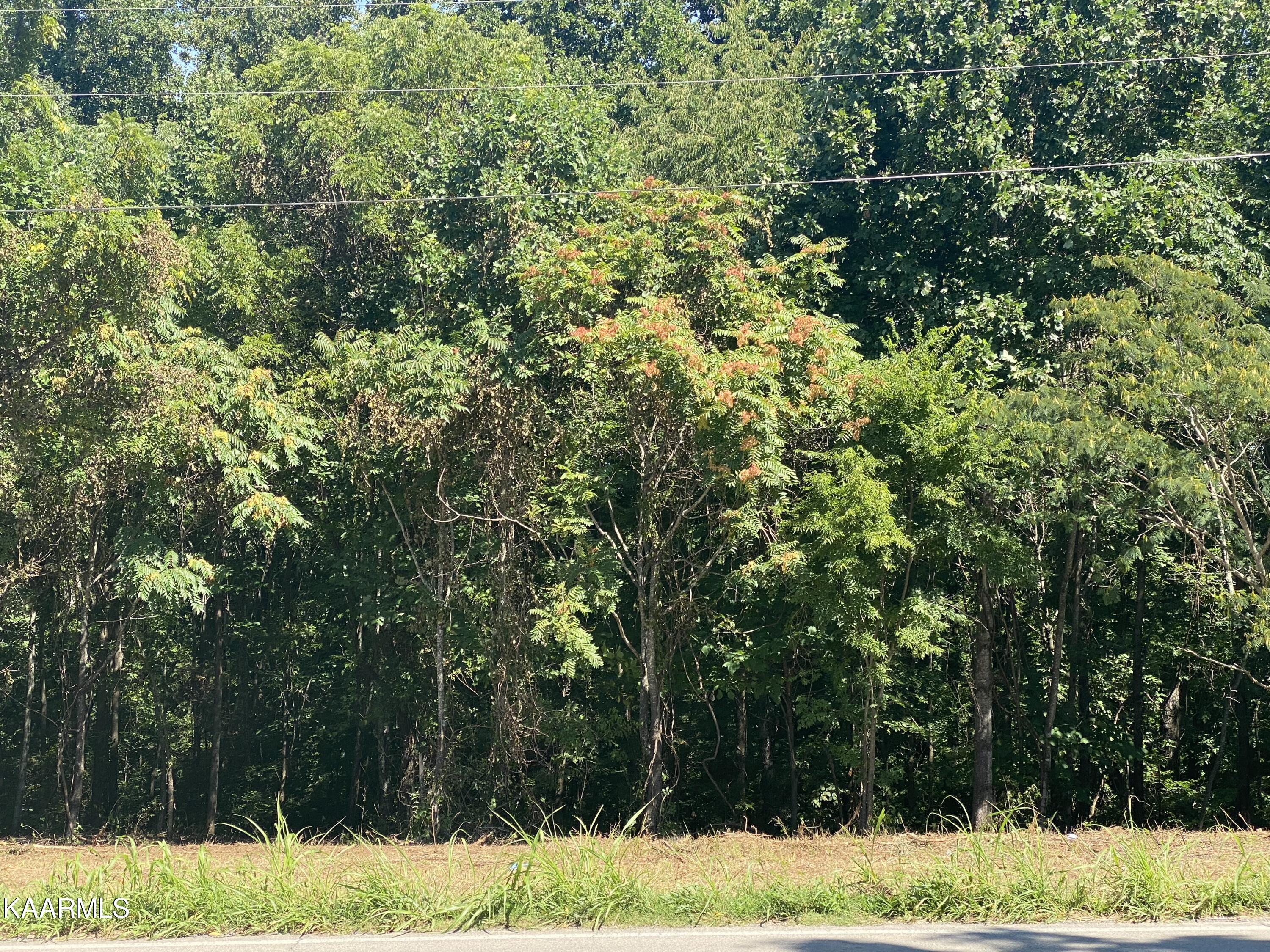 Big Springs Rd Unit 9