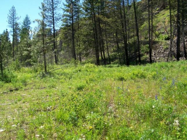 2-3 Cowboys & Angel Road Kettle Falls, WA 99141 - Photo 11 of 11 Gallery Image 11