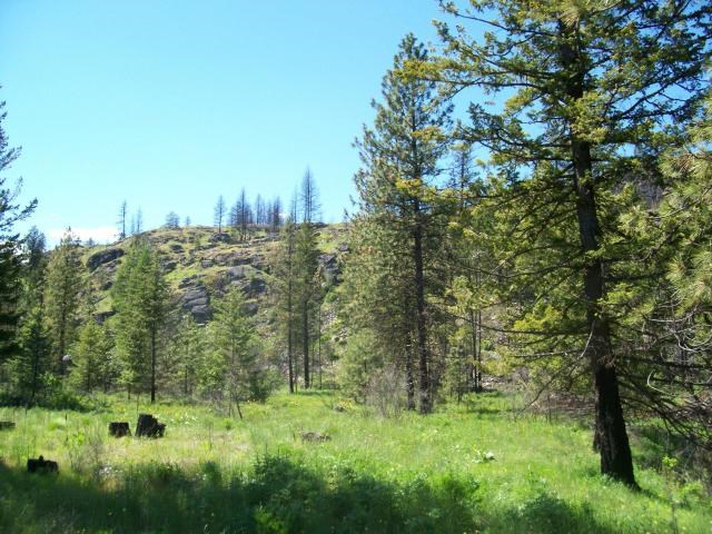 2-3 Cowboys & Angel Road Kettle Falls, WA 99141 - Photo 8 of 11 Gallery Image 8