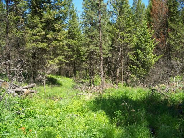 2-3 Cowboys & Angel Road Kettle Falls, WA 99141 - Photo 9 of 11 Gallery Image 9