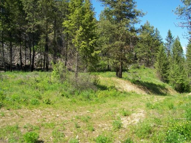 2-3 Cowboys & Angel Road Kettle Falls, WA 99141 - Photo 10 of 11 Gallery Image 10