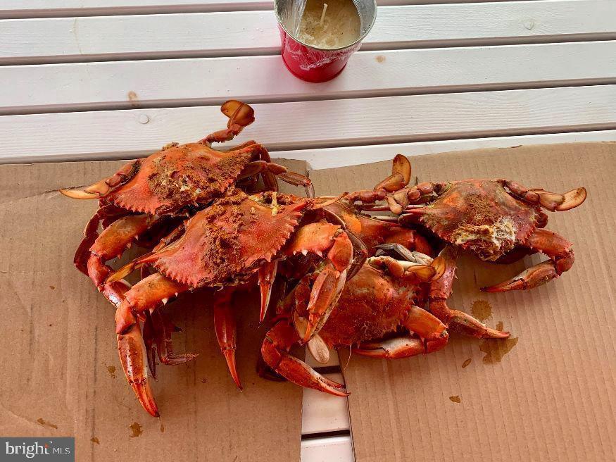 8034 Riverview Road Westover, MD 21871 - Photo 40 of 47 a close up of a sink