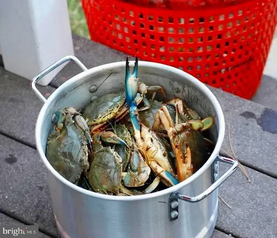 a view of a sink in a pot