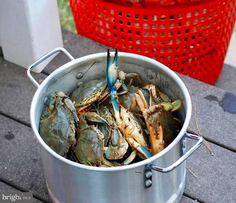 8034 Riverview Road Westover, MD 21871 - Photo 42 of 47 a view of a sink in a pot