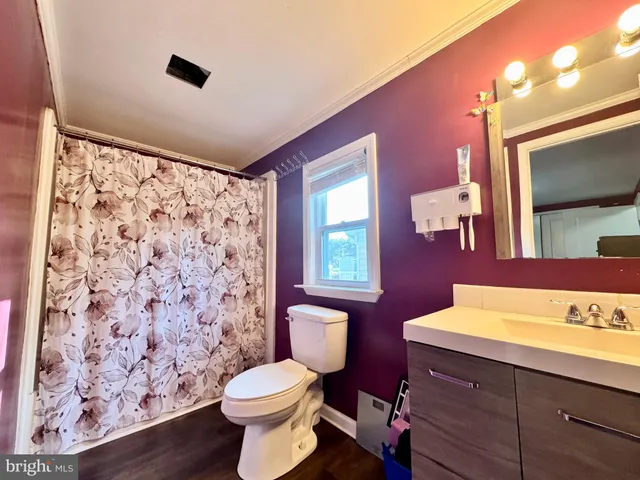 a bathroom with a sink a toilet and shower curtain