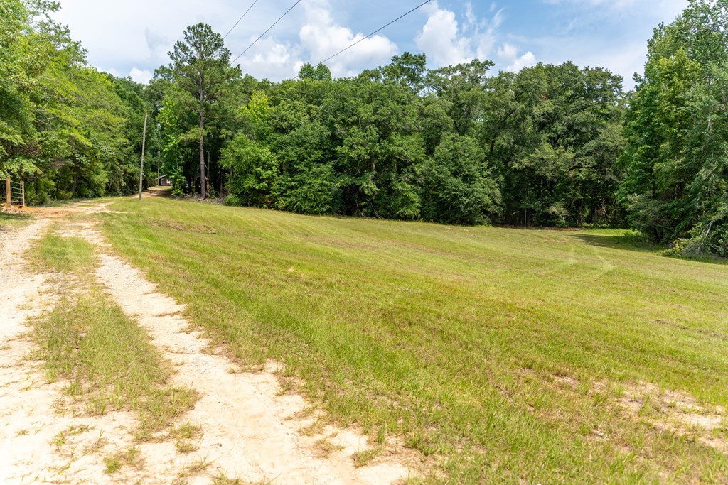 3 Comers Pond Road Pittsview, AL 36871 - Photo 33 of 51