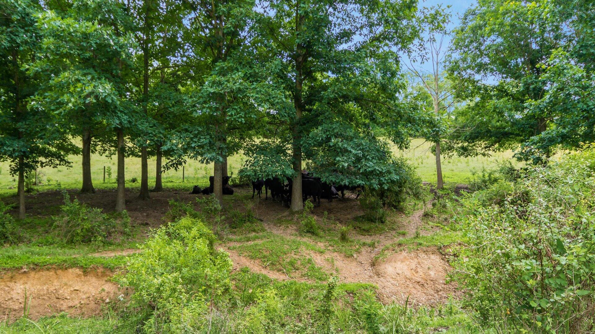 10640 Flint Ridge Road Newark, OH 43056 - Photo 63 of 86 59-10640 Flint Ridge Rd140
