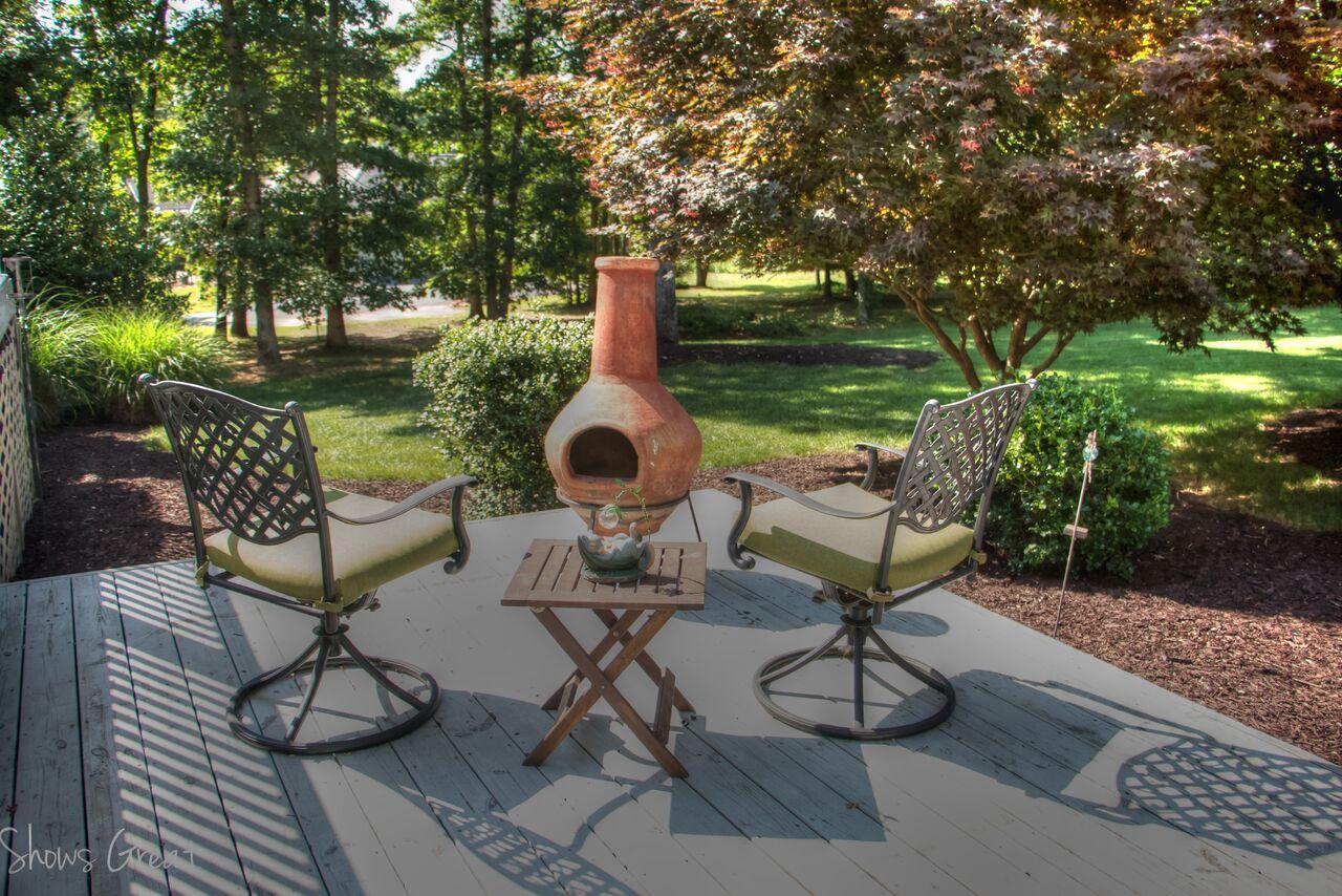 170 Chesney Place Blue Ridge, VA 24064 - Photo 44 of 55 Patio