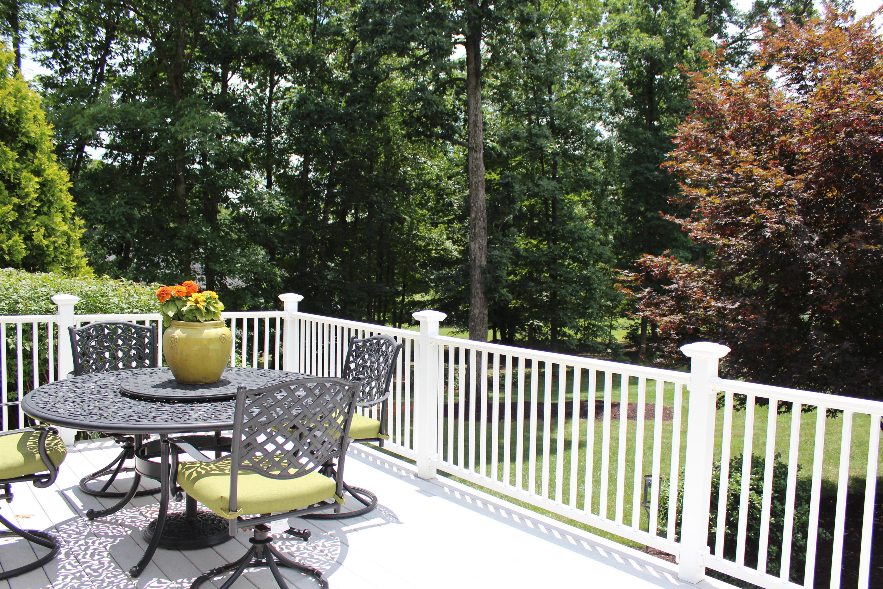 170 Chesney Place Blue Ridge, VA 24064 - Photo 46 of 55 Deck