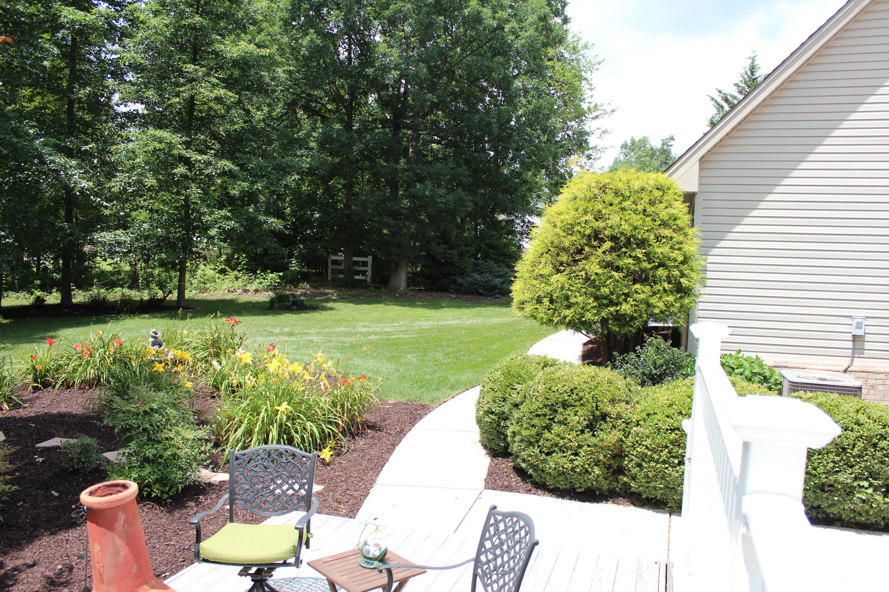 170 Chesney Place Blue Ridge, VA 24064 - Photo 48 of 55 Back Yard
