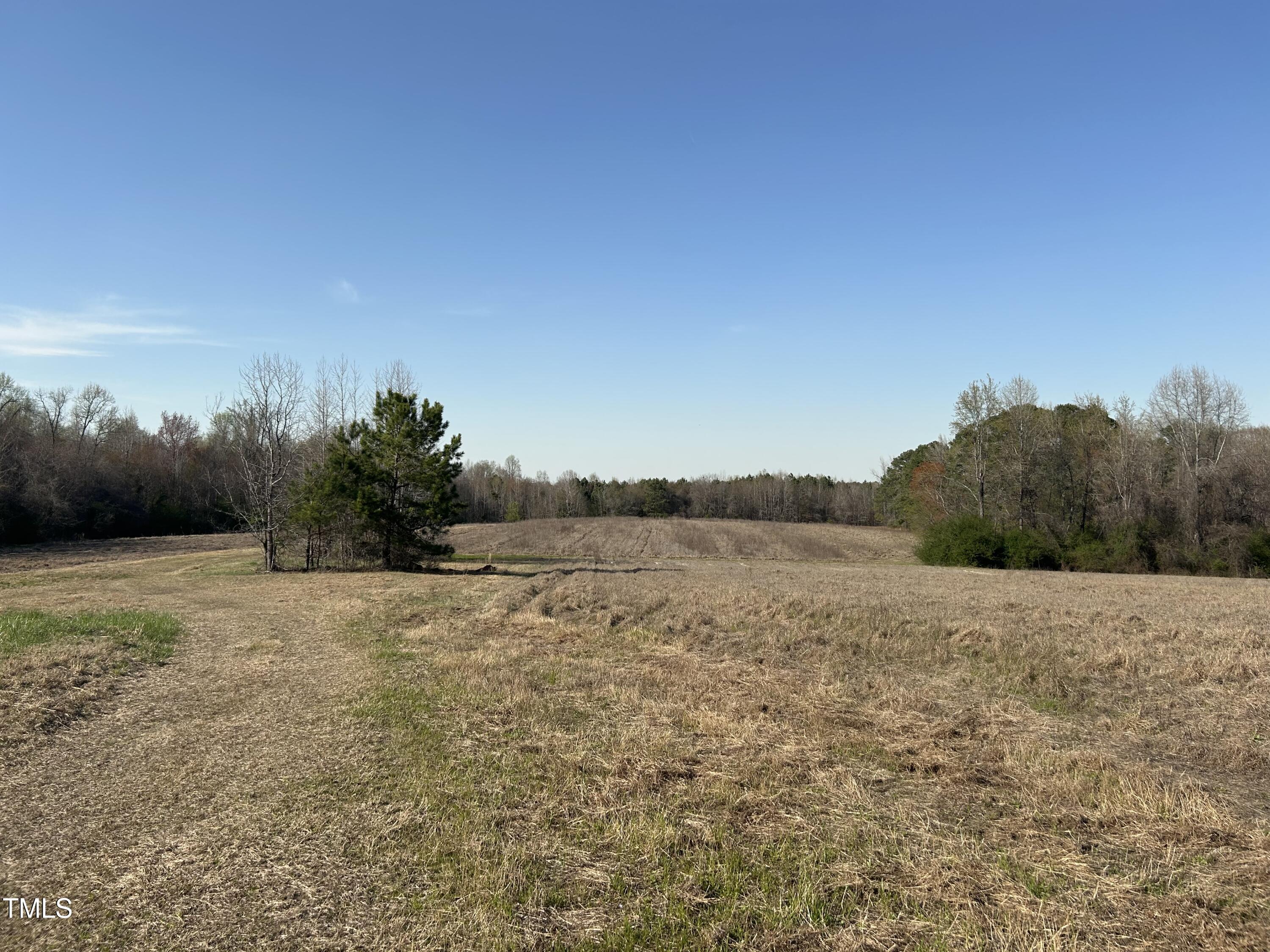 9700 Kennebec Road Willow Spring, NC 27592 - Photo 1 of 8 a view of lake and mountain view
