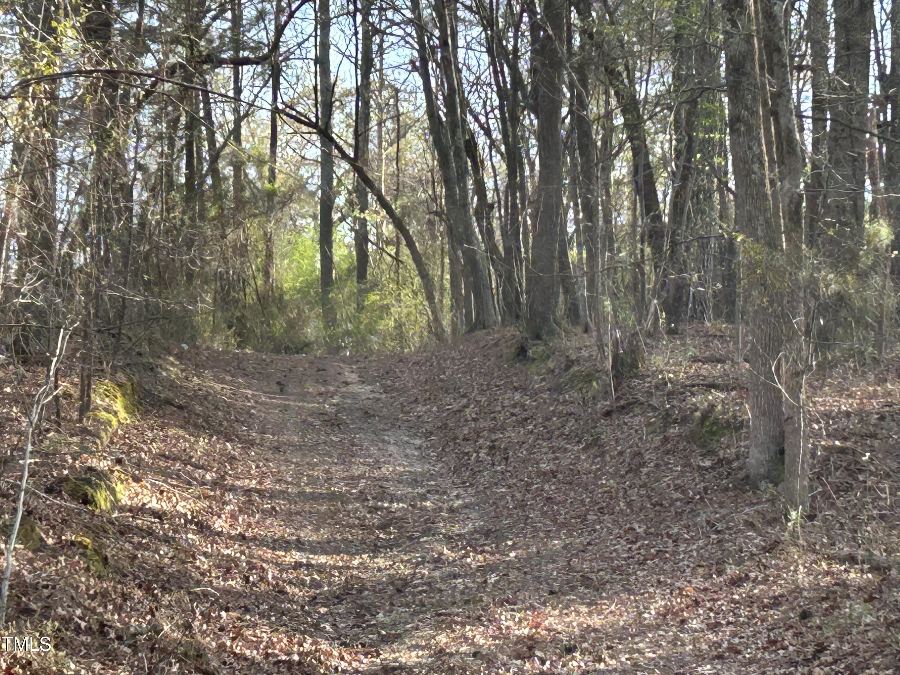 9700 Kennebec Road Willow Spring, NC 27592 - Photo 3 of 8 a view of a forest with trees in the background