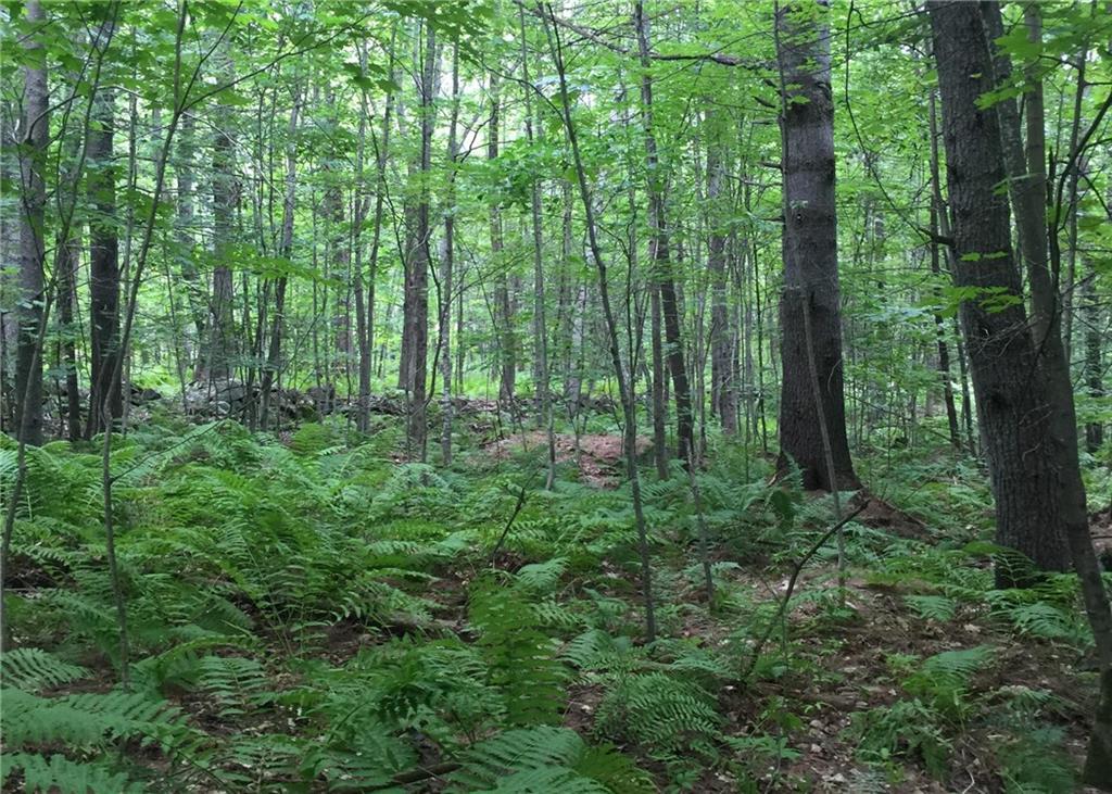 Lot 4 Spiller Hill Road Raymond, ME 04071 - Photo 1 of 20 Photo