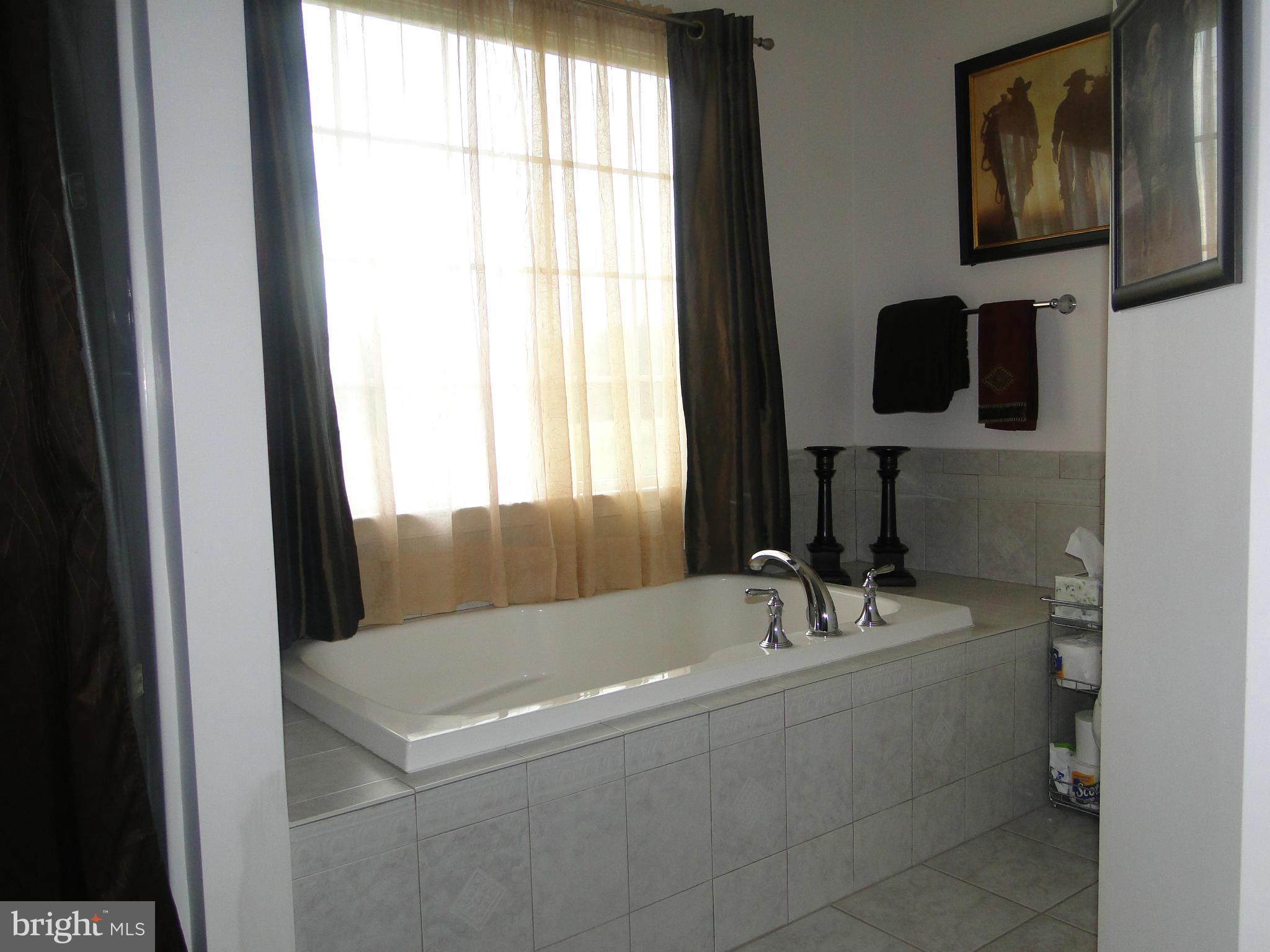 24 Pearl's Way Rising Sun, MD 21911 - Photo 14 of 30 Bath (Master)