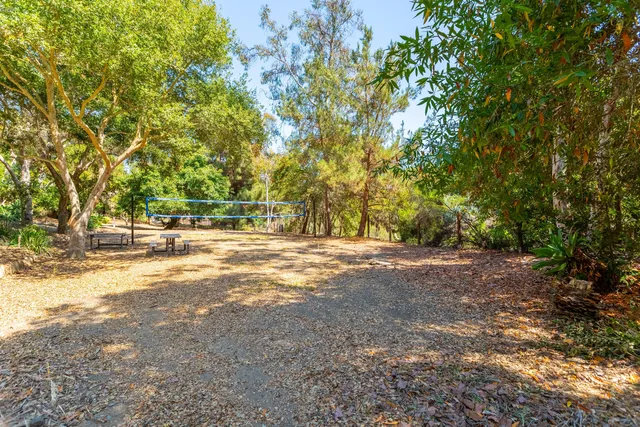 a view of a yard with plants and trees