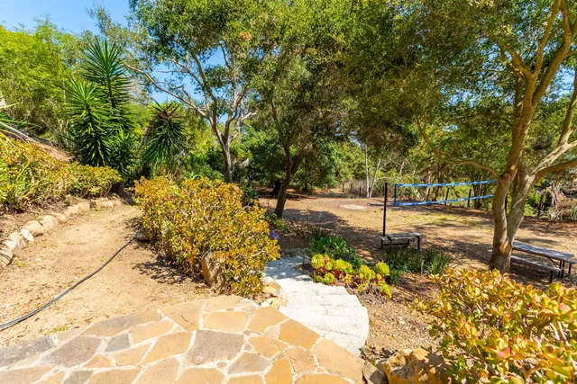 a view of a yard with plants and trees