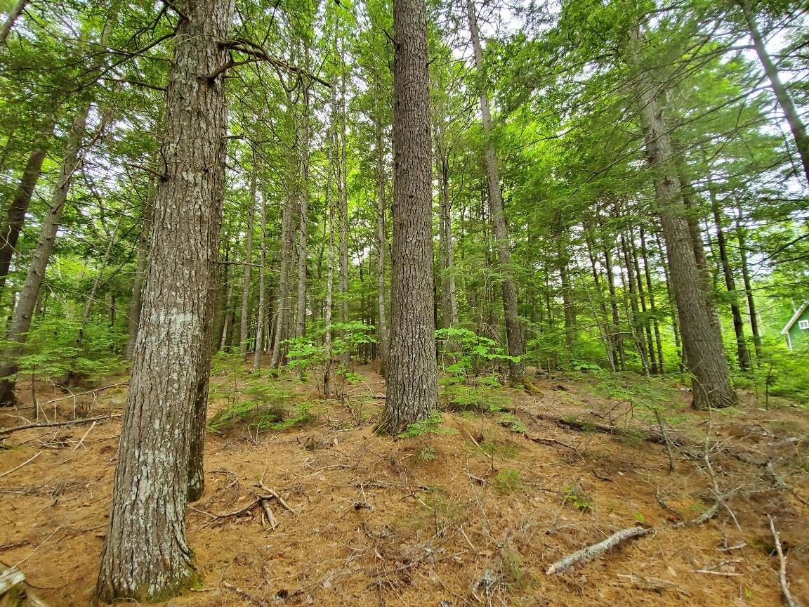 218 Long Pond Road Aurora, ME 04408 - Photo 9 of 29 20220624_125843_resized_1