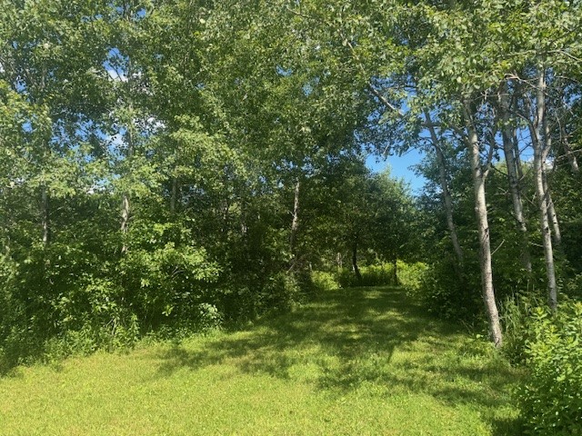 31 Myslivecek Road Lowman, NY 14861 - Photo 37 of 50