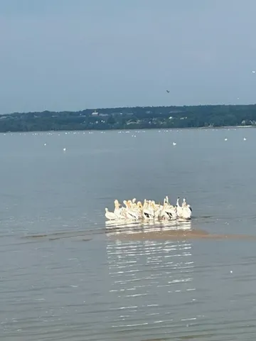 $1,999,000 | 1751 East Shore Circle, Green Bay, WI 54302