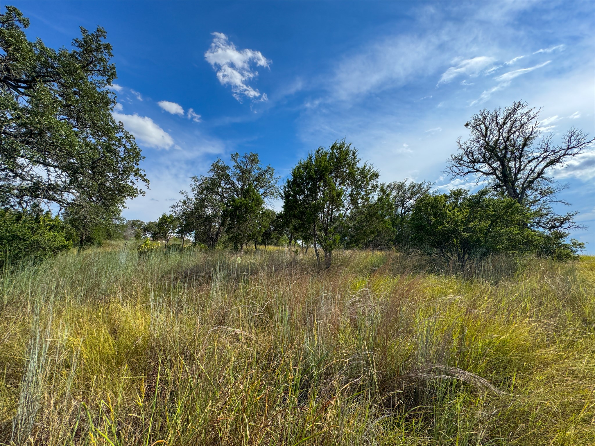 K10146 Horned Toad Road Horseshoe Bay, TX 78657 - Photo 8 of 9 a view of a lake with a big yard