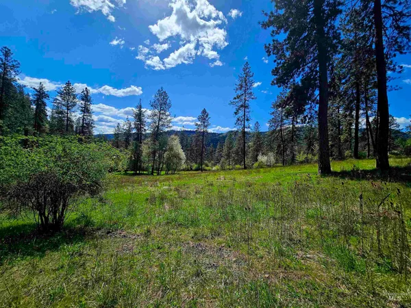 $589,000 | 115 Weedmark Way, Kamiah, ID 83536