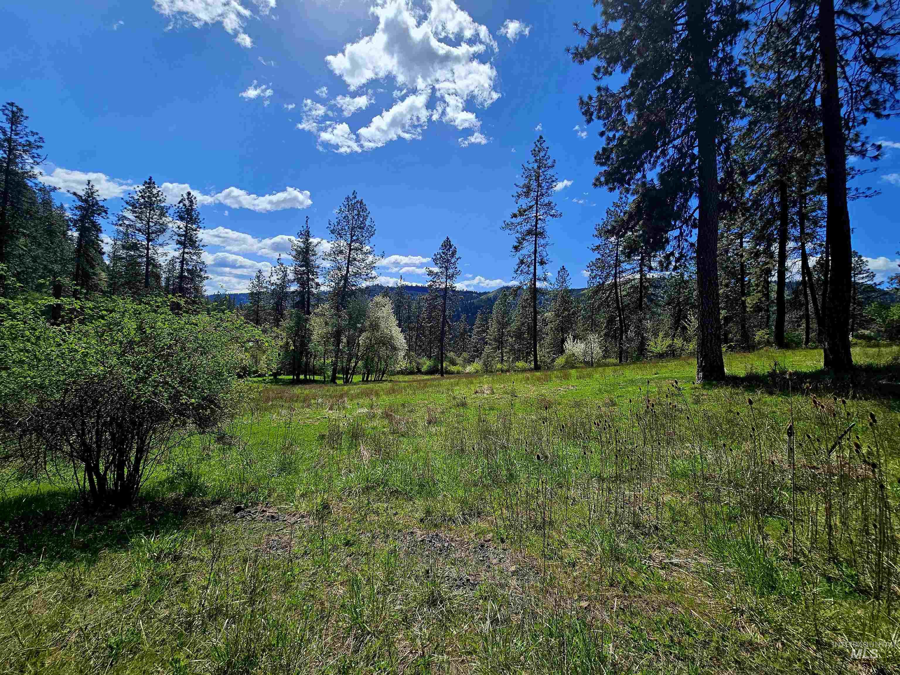 115 Weedmark Way Kamiah, ID 83536 - Photo 27 of 46