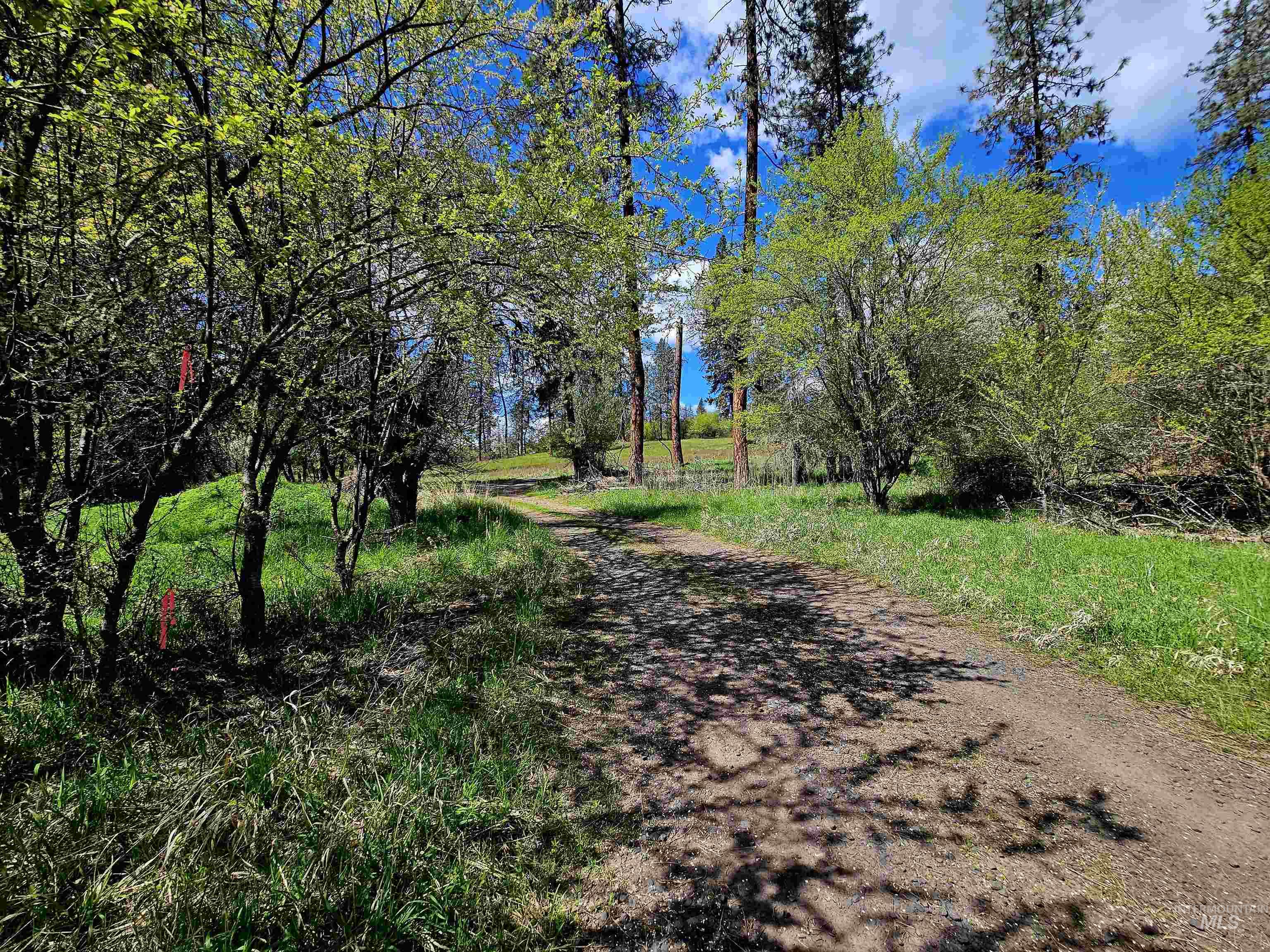 115 Weedmark Way Kamiah, ID 83536 - Photo 3 of 46
