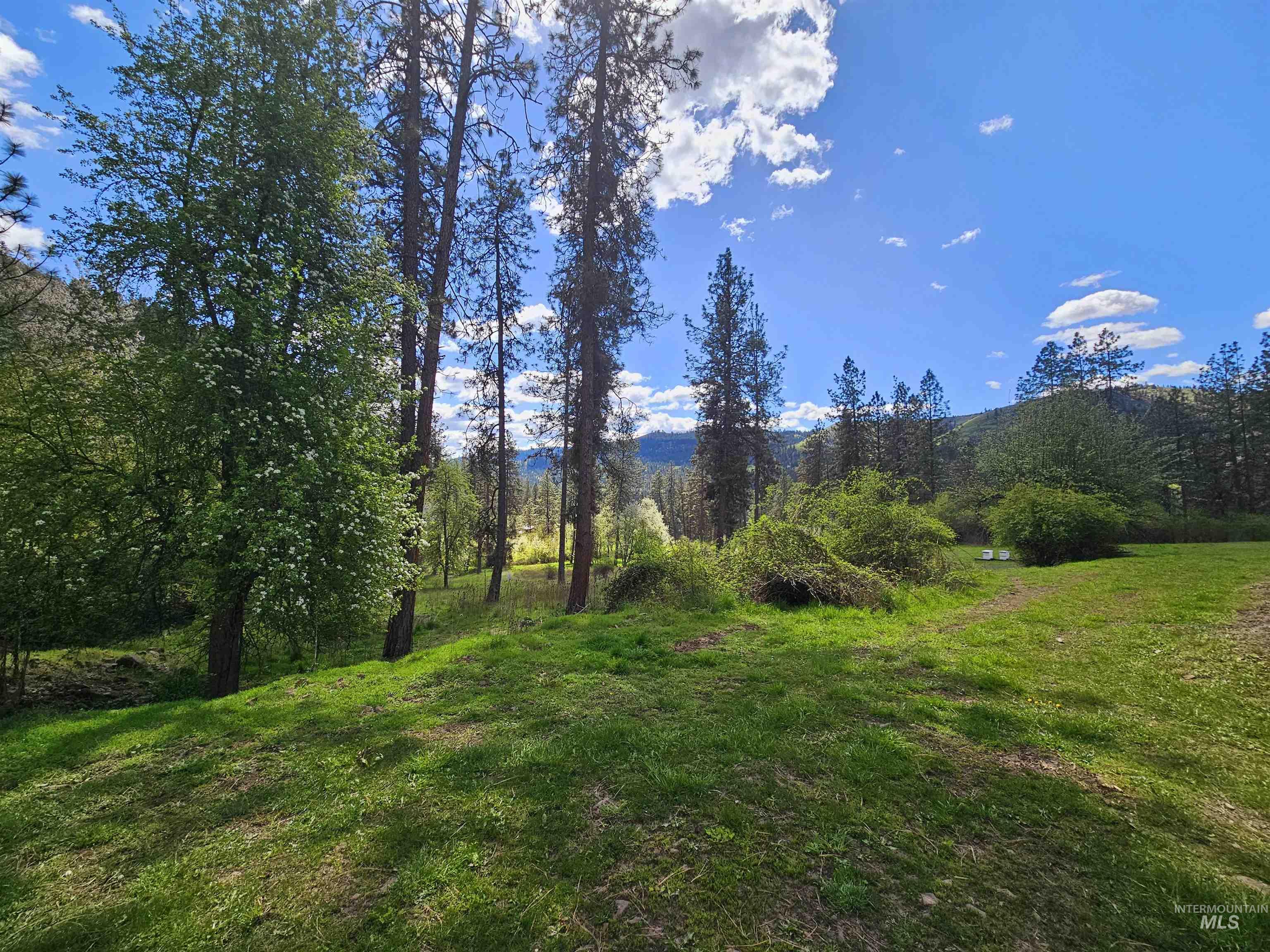 115 Weedmark Way Kamiah, ID 83536 - Photo 34 of 46