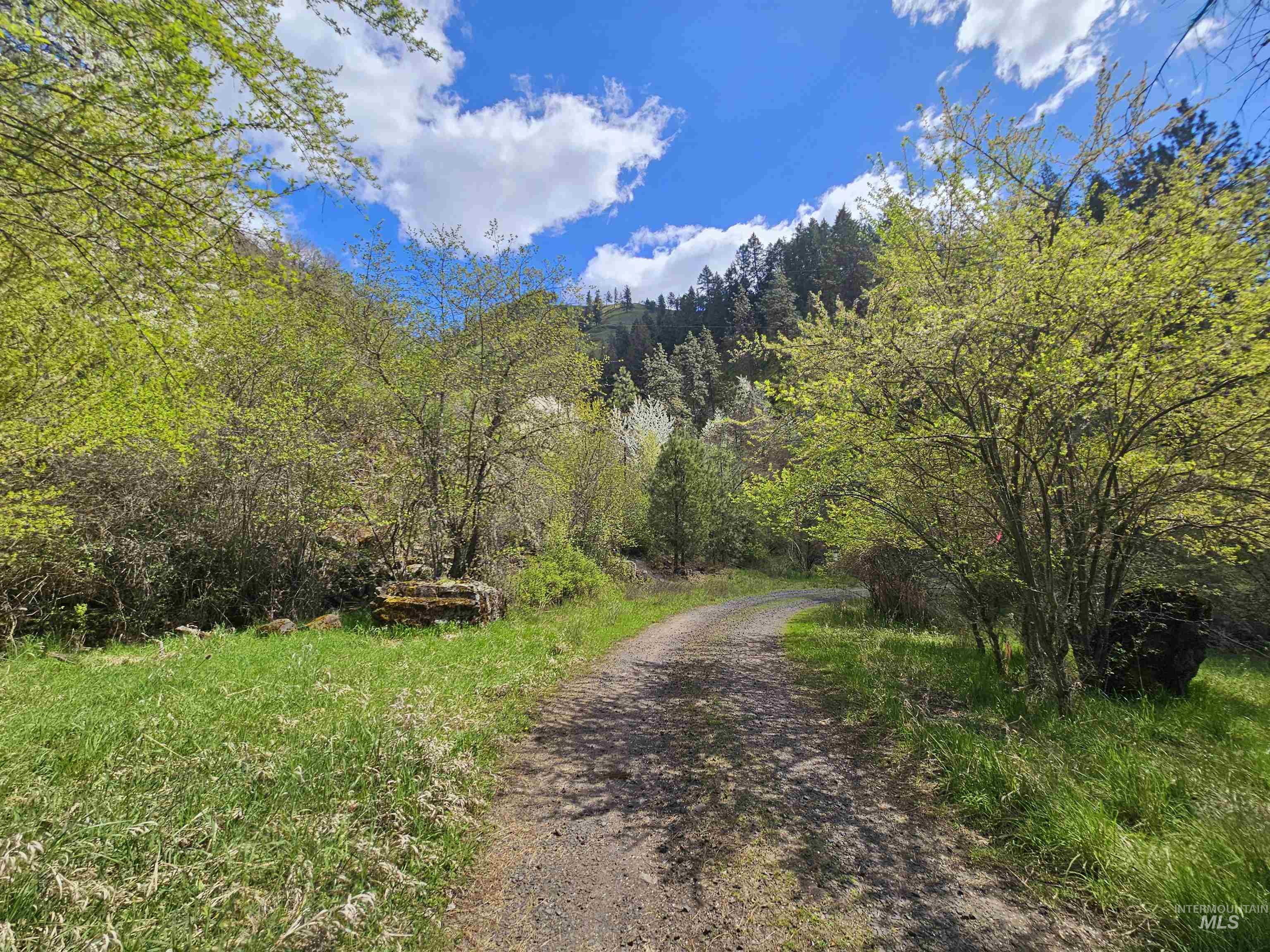 115 Weedmark Way Kamiah, ID 83536 - Photo 35 of 46