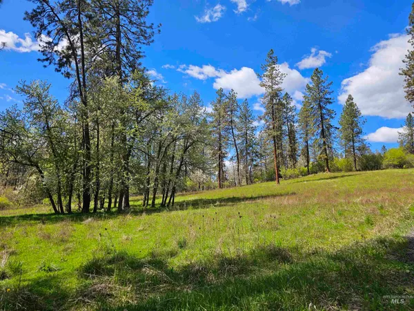 $589,000 | 115 Weedmark Way, Kamiah, ID 83536