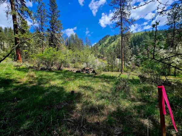 $589,000 | 115 Weedmark Way, Kamiah, ID 83536