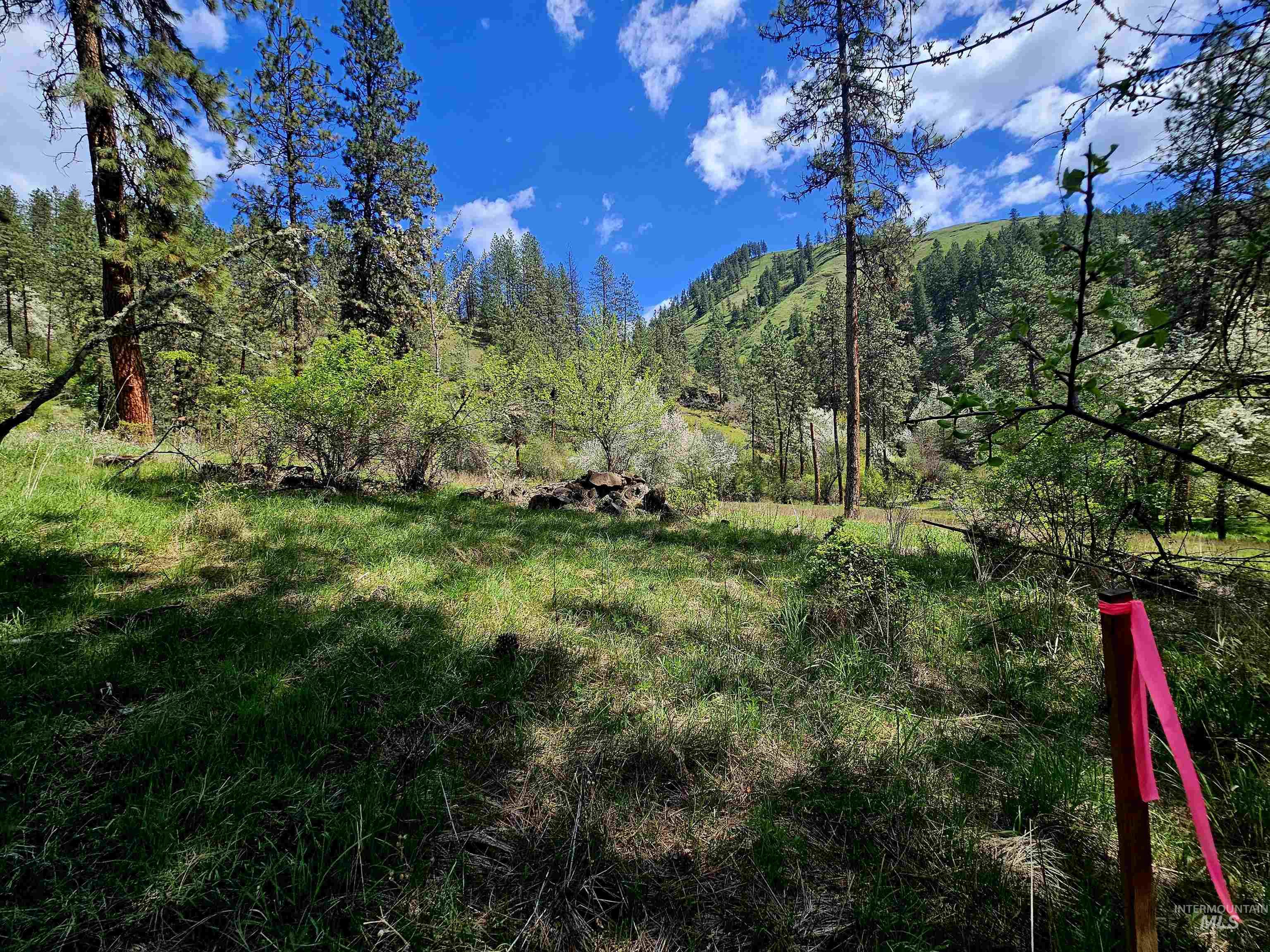 115 Weedmark Way Kamiah, ID 83536 - Photo 37 of 46